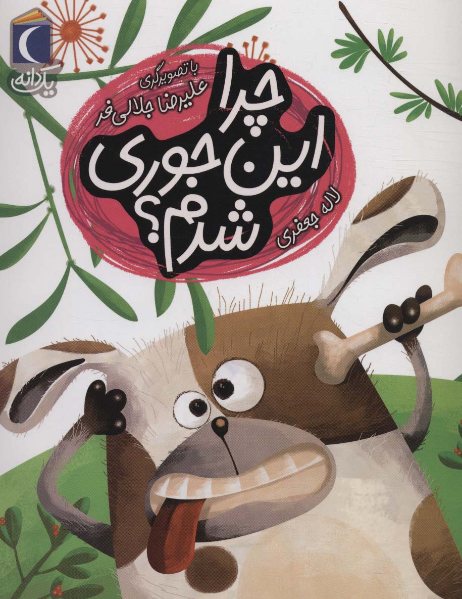 چرا این جوری شدم؟ (یک دانه)