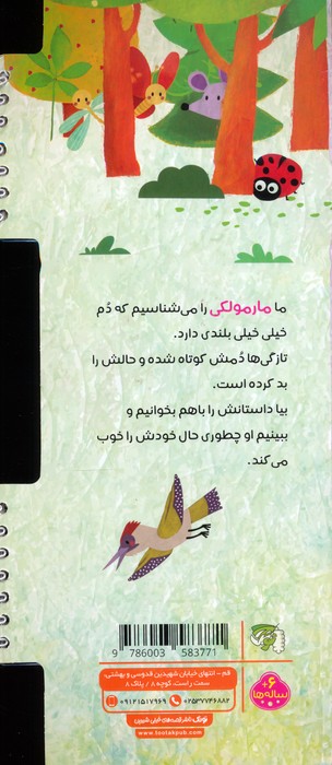 پرورش خودباوری 2 (دم بلند)،(سیمی،گلاسه)