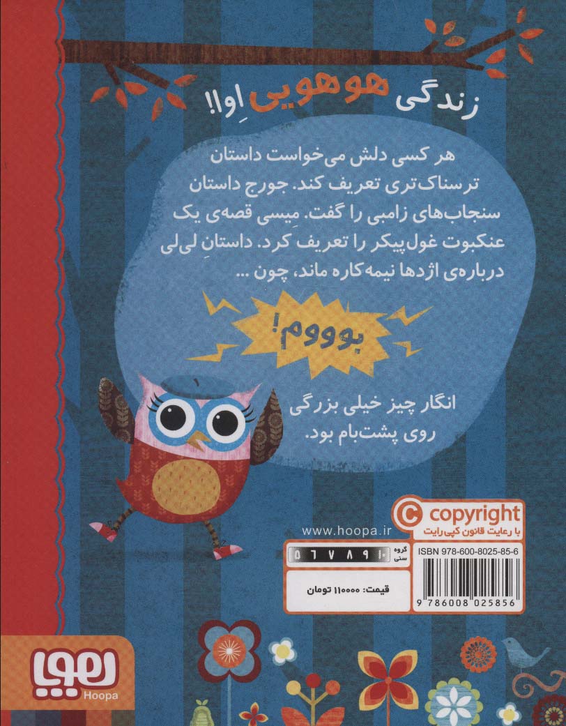 دفترچه خاطرات جغد 2 (اوا شبح می بیند)