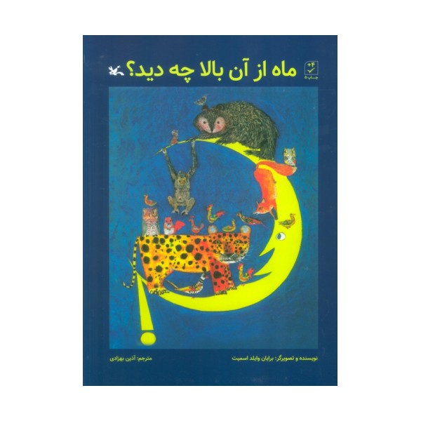 ماه از آن بالا چه دید؟