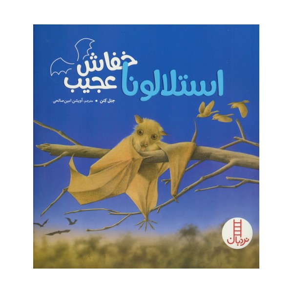 استلالونا خفاش عجیب (گلاسه)