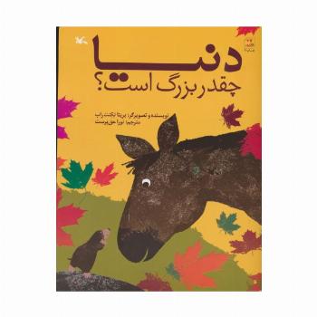 دنیا چقدر بزرگ است؟